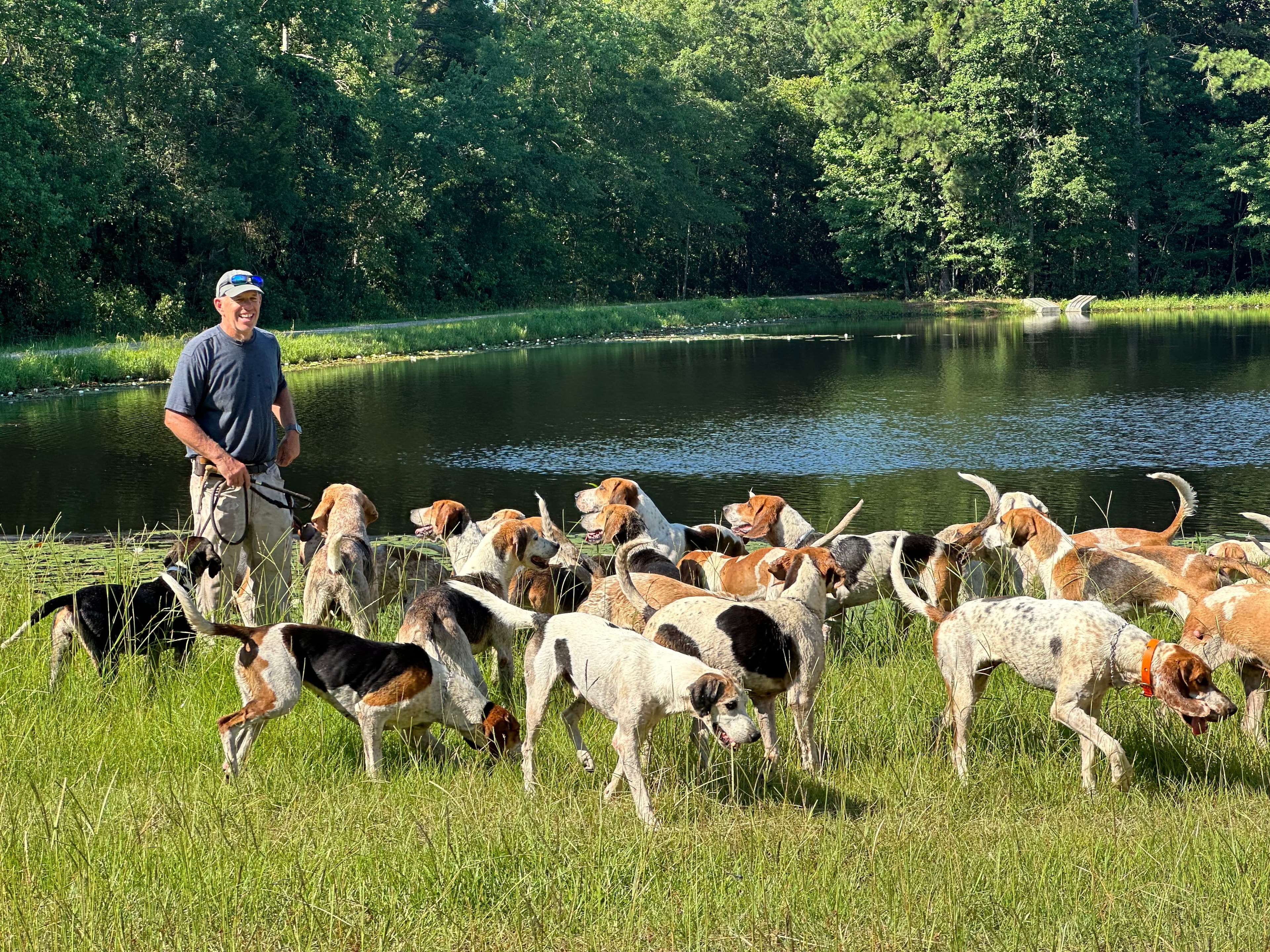 Camden Hunt Kennels — huntsman with hounds, 698 Red Fox Road, Camden, SC